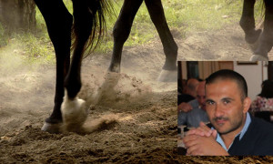 Tragedia a Orgosolo: allevatore muore colpito dal calcio di un cavallo