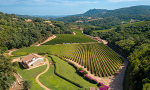 Il vino B&egrave;ru di Sidd&ugrave;ra riconosciuto come "Miglior Vermentino d'Italia"