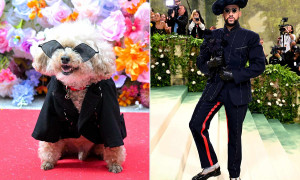 A New York va in scena il Pet Gala 2025: animali da red carpet tra glamour e beneficenza