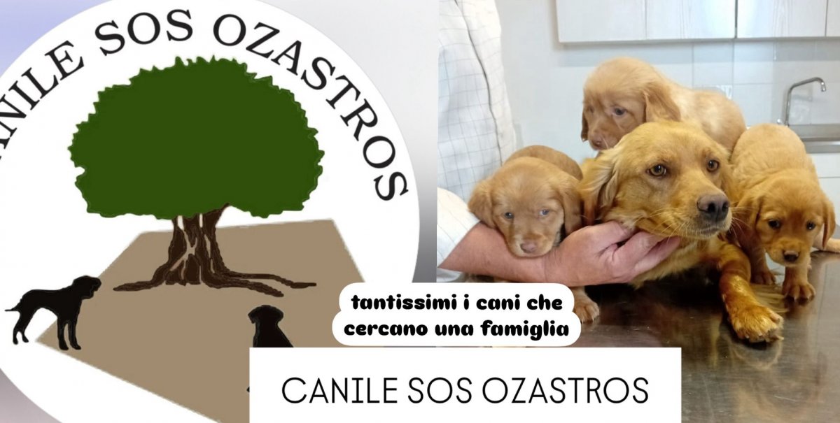 É SEMPRE SABATO