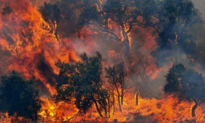Emergenza incendi in Sardegna: giornata intensa per il sistema antincendio regionale