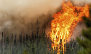 Canada in fiamme: oltre 31.000 evacuati per gli incendi boschivi, bruciati 2,2 milioni di ettari
