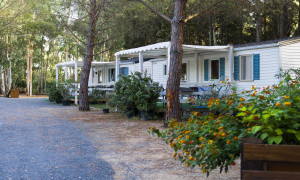 Sardegna regina del turismo open air: l&rsquo;isola conquista campeggiatori e famiglie, anche dall&rsquo;estero