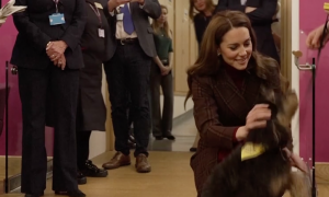 Kensington Palace d&agrave; il benvenuto a quattro nuovi cuccioli