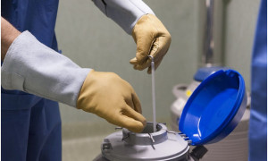 In Puglia aiuti economici alle donne che vogliono congelare gli ovuli