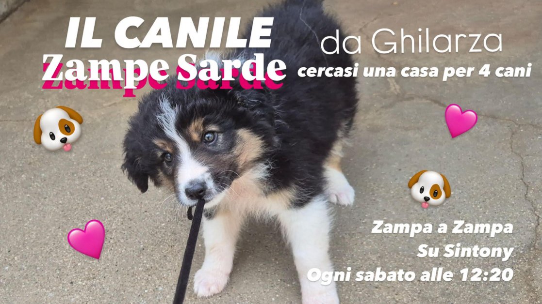 É SEMPRE SABATO
