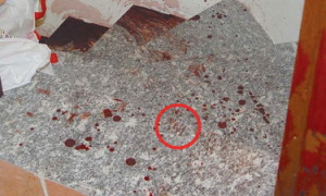 Delitto di Garlasco, nuova impronta insanguinata riapre il caso: possibile presenza di pi&ugrave; assassini