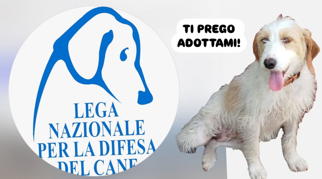 É SEMPRE SABATO