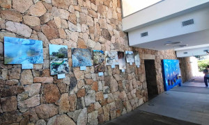 Mostra fotografica all&rsquo;Acquario di Cala Gonone &ldquo;Anfibi e rettili endemici della Sardegna&rdquo;