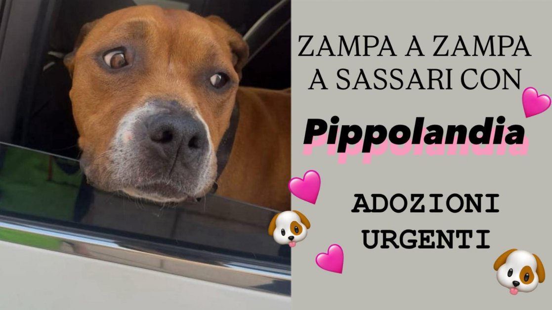 É SEMPRE SABATO