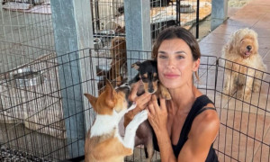 Elisabetta Canalis torna al rifugio Lida di Olbia: &ldquo;Adottare &egrave; un&rsquo;esperienza meravigliosa&rdquo;