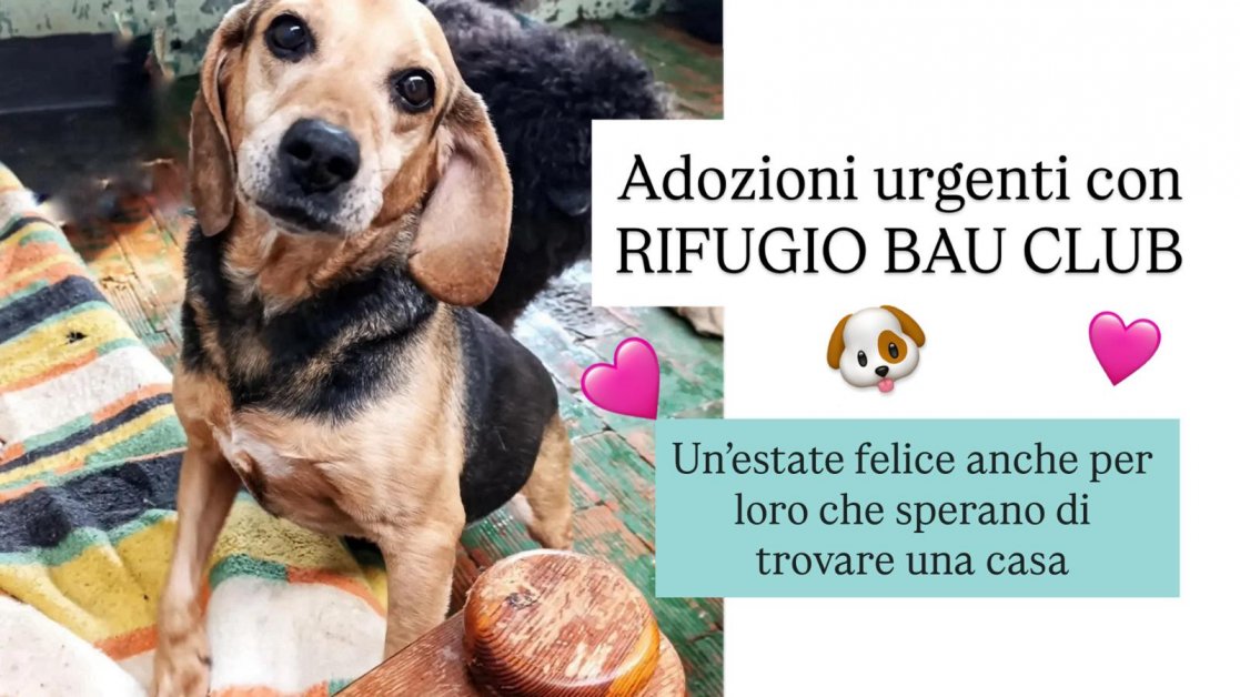 É SEMPRE SABATO