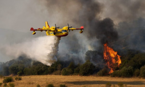 Emergenza incendi in Sardegna: decine di roghi, evacuazioni e territori devastati