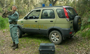 Al via il bando in Sardegna per nuovi agenti forestali