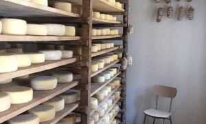 Dazi USA, allarme in Sardegna: a rischio 25 milioni l&rsquo;anno per l&rsquo;export isolano