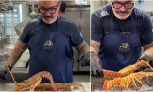 Chef cuoce aragosta sulla griglia in un video, scoppia la polemica: &ldquo;Si muove ancora&rdquo;