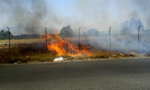 Anas in prima linea nella lotta agli incendi