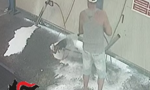 Biella, lava il cane nell&rsquo;autolavaggio: denunciato un 57enne