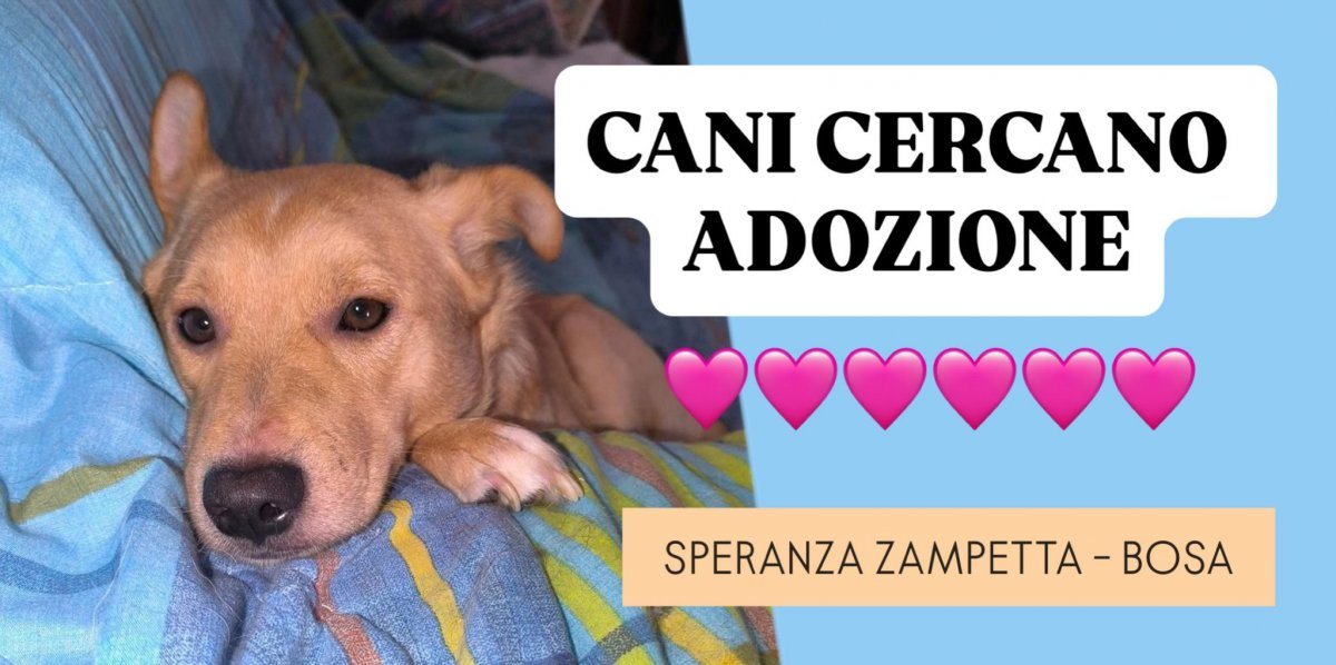 É SEMPRE SABATO