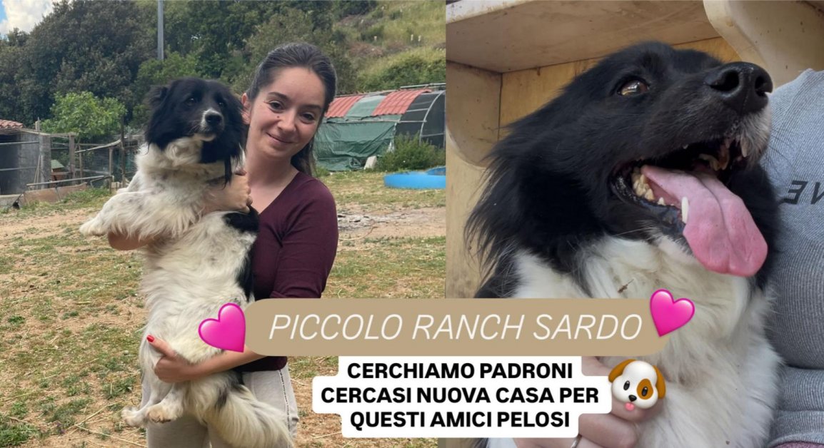 É SEMPRE SABATO