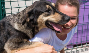 Quartu, riparte il progetto &ldquo;Adotta un cane al canile&rdquo;