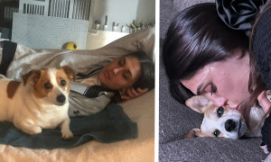 Cecilia Rodriguez e Ignazio Moser in lutto: addio alla cagnolina Aspi