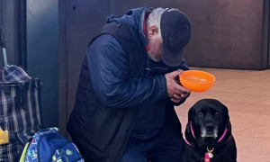 L'ombra dietro l'elemosina: un'urgenza legislativa per fermare lo sfruttamento degli animali