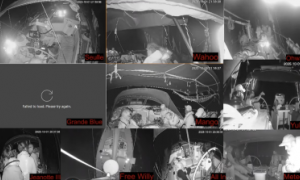 Flottiglia per Gaza intercettata da Israele: oltre 200 attivisti fermati