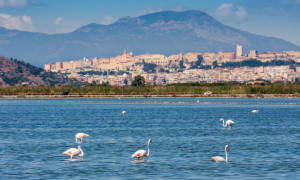 Quartu, al via il festival Esperienze e Suoni D'Acqua
