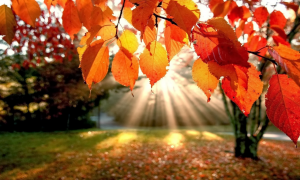 Clima: torna l'estate di San Martino, breve tregua dal freddo con l'anticiclone