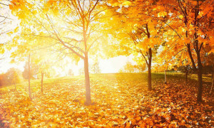 L'11 novembre &egrave; il giorno di San Martino: cosa si festeggia e perch&eacute; si chiama cos&igrave;