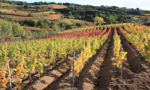 Musei d&rsquo;impresa, 176 tesori d&rsquo;Italia: il viaggio che racconta il Paese