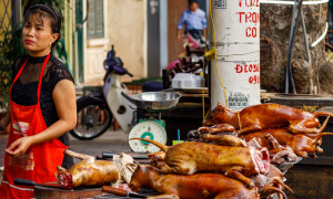 Stop al commercio di carne di cane e gatto: Giacarta vota il divieto per prevenire la rabbia