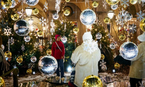 Record da Guinness in Germania: oltre 600 alberi di Natale in casa