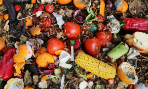 Natale, il caro spreco: 575mila tonnellate di cibo nella spazzatura tra vigilia e Capodanno