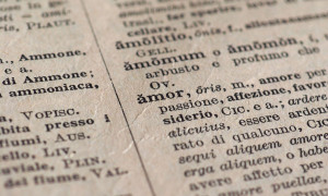 Treccani 2025: dalla "Broligarchia" a Sinner "Ingiocabile"