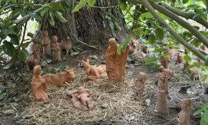 Un presepe tra natura e tradizione: il Natale fiorisce all&rsquo;Orto Botanico di Cagliari