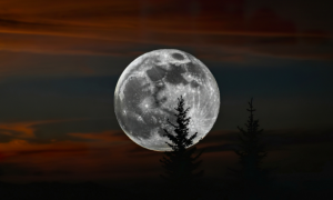 Wolf Moon 2026: la prima luna piena dell&rsquo;anno La superluna di gennaio regala uno spettacolo unico pe