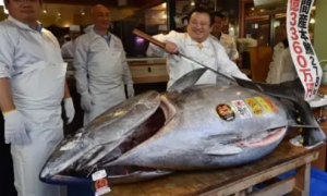 Tokyo, asta record per il tonno di Capodanno