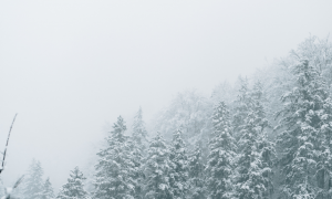 Sardegna sotto la neve: freddo, piogge, vento forte e fiocchi fino a bassa quota