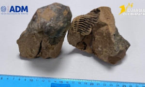 Alghero, turista tenta di trafugare un reperto archeologico: fermato in aeroporto