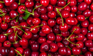 Ciliegie giapponesi da record: fino a 140 euro l&rsquo;una