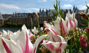 L&rsquo;Aia: la citt&agrave; dove si vive meglio al mondo