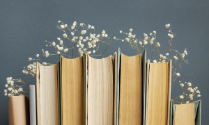 L'eco del cuore: 3 libri per scoprire che la vera forza nasce dalle nostre fragilit&agrave;.