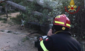 Sassari nella morsa del vento: alberi abbattuti e oltre trenta interventi in citt&agrave;