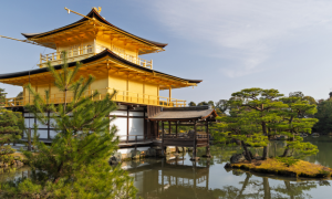 Giappone, paga 20 anni di affitto per scoprire chi ha ucciso la moglie