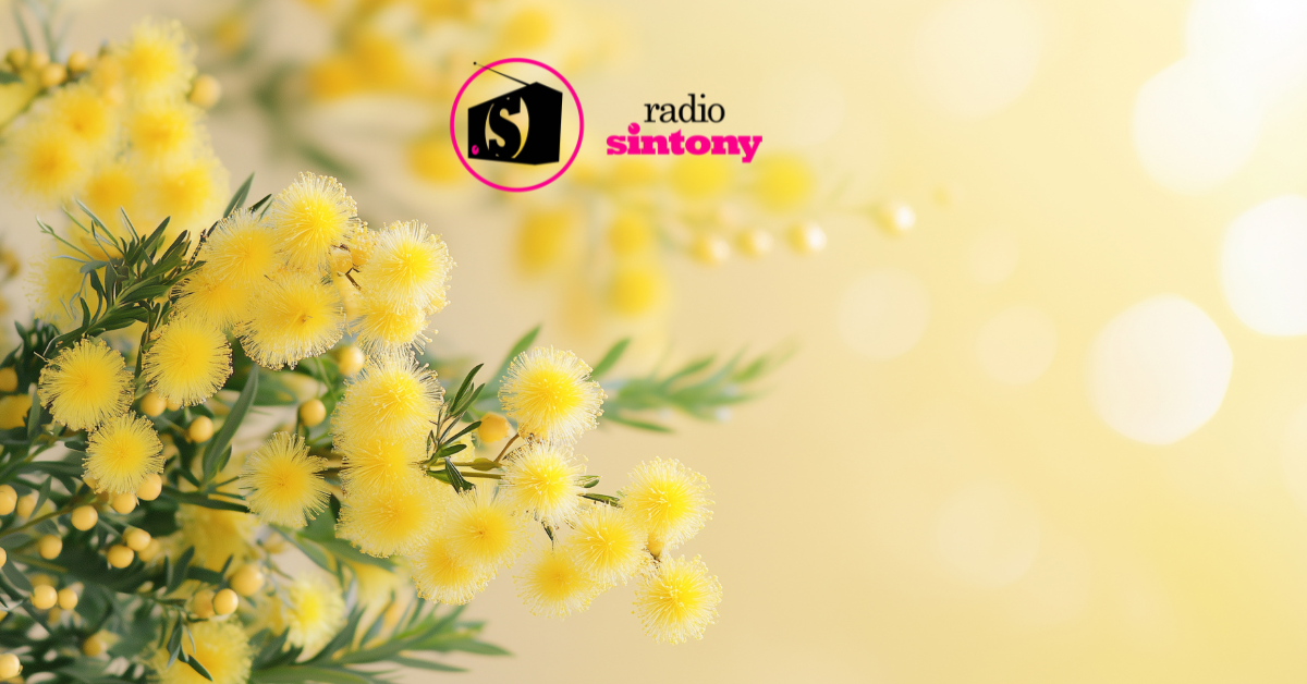 Buongiorno Sardegna Domenica