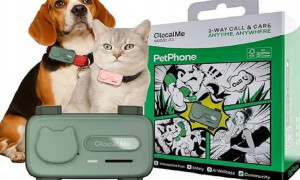 E se i nostri amici a quattro zampe avessero uno smartphone?