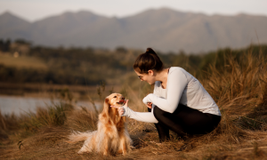 Patentino per i proprietari di cani: in Europa cresce l&rsquo;attenzione sulla formazione