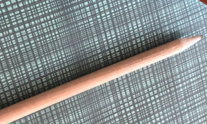 Urne sarde a giugno: il 7 e l'8 l'Isola sceglie i nuovi sindaci in 149 Comuni